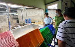 C.P. Việt Nam thừa nhận hình ảnh heo bệnh được chụp tại lò mổ thuộc công ty