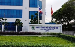 NÓNG: C.P. Việt Nam thừa nhận hình ảnh heo bệnh bị “tố” là có thật, được chụp tại cơ sở gia công thuê