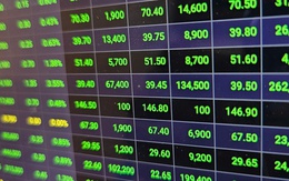 Biến động bất ngờ của cổ phiếu công ty vàng, ngân hàng sau kết luận thanh tra