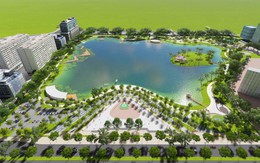 "Siêu hồ" trăm tỷ tại Việt Nam: 1 hecta trị giá 8,1 tỷ đồng, là "cứu tinh" mùa mưa lũ