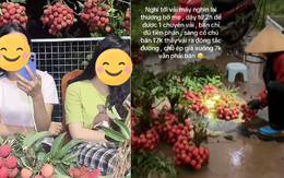"Khối nghỉ hè" dùng TikTok rao bán vải hộ bố mẹ, 2h sáng được huy động ra vườn soi đèn thu hoạch