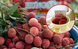 Vải trứng Hưng Yên được mang bán trên trời!