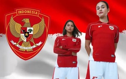 Tuyển Indonesia nhập tịch 4 ngôi sao mới, làm khó tuyển Việt Nam ở “bảng tử thần”