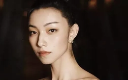 Nữ diễn viên khiến Ngô Kinh và Lý Liên Kiệt điêu đứng