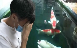 Chi tiền khủng cải tạo tầng hầm chung cư thành ao cá Koi, người đàn ông bị hàng xóm kiện ra tòa: “Anh không được làm thế”