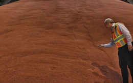 Hàng trăm nghìn tấn hàng từ Lào ồ ạt tràn vào, Việt Nam đã chi hơn 700 triệu USD mua hàng - Israel, Trung Quốc cũng đều là bạn hàng lớn