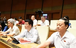 'Chốt' một quốc tịch với cán bộ giữ chức danh theo nhiệm kỳ