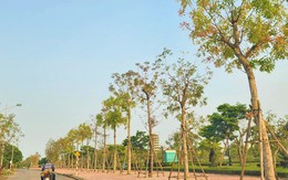 Quảng Bình: Cán bộ bị kỷ luật từ 2020 đến nay sẽ không được bổ nhiệm cao hơn