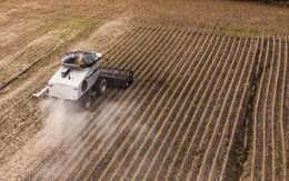 Bị Trung Quốc quay lưng với hàng loạt nông sản, chuyển sang mua của nhà cung cấp khác, nông dân Mỹ ‘méo mặt’, đối mặt viễn cảnh khó