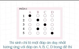 Bộ GD&ĐT hướng dẫn trả lời trắc nghiệm, tránh lỗi sai mất điểm thi tốt nghiệp THPT
