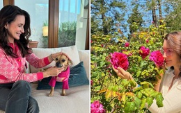 Sao phim “Sex and the city” sở hữu biệt thự 5 triệu đô ở TP đắt đỏ bậc nhất, chưa chồng nhưng đã có 2 con