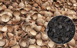 Thứ bỏ đi từ trái dừa thành "mỏ vàng", Việt Nam kiếm hàng chục triệu đô: Thế giới đổ xô đặt hàng