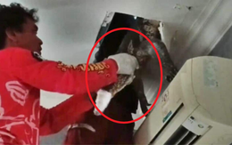 Nghe thấy tiếng động bí ẩn, gia chủ tưởng là chuột nhưng khi trần nhà sụp xuống thì vội gọi cứu hộ