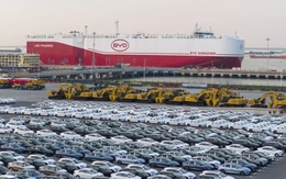 7300 xe điện Trung Quốc gửi đến một quốc gia xa xôi: Người dân ở đây "vồ vập" đợi mua bằng được - Vì sao?