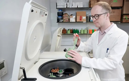 Phát hiện mang tính đột phá: Có thể biến rác nhựa thành thuốc giảm đau, hạ sốt