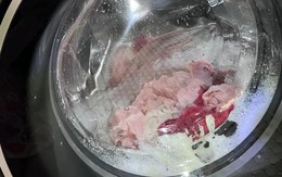 7 lỗi sai khi dùng máy giặt: Càng giặt quần áo càng bẩn, bốc mùi hôi