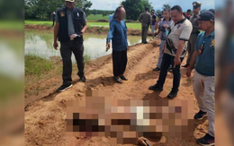 Thái Lan: Cháu trai bị ông rút súng bắn tử vong ngay trên cánh đồng, nghe lời khai của nghi phạm mà xót xa