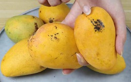 Mua xoài cứ dùng 5 mẹo này: Bách phát bách trúng, quả nào cũng ngọt như mía lùi