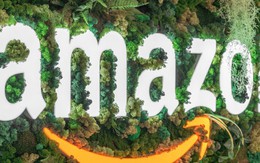 Một Bigtech đứng đầu về lượng phát thải muốn mua tín chỉ carbon rừng của Việt Nam