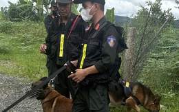 Cảnh sát dùng chó nghiệp vụ khám xét nơi ở của đôi tình nhân nhiều nghi vấn