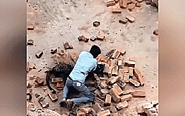 Cuộc đối đầu nghẹt thở giữa người đàn ông với con báo dữ