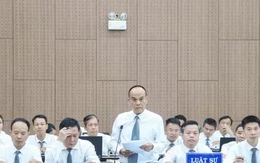Luật sư đề nghị gỡ phong tỏa 196 bất động sản cho Chủ tịch Tập đoàn Phúc Sơn khắc phục hậu quả