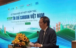 Việt Nam có nhiều tiềm năng tạo tín chỉ carbon
