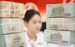 Lãi suất giảm mạnh, vì sao người dân vẫn đổ tiền vào ngân hàng?