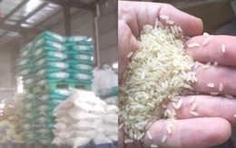 Trung Quốc: Đột kích nhà máy trong đêm, phanh phui công ty sản xuất gạo giả bán 1.000 tấn mỗi năm, tịch thu 15.750kg gạo chất thành đống