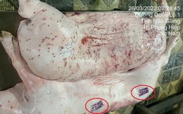 Chi tiết lạ trên heo bệnh tại cơ sở gia công cho C.P. Việt Nam: Nhân viên giải thích thế nào?