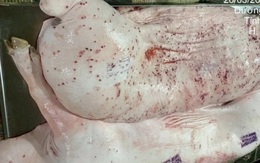 NÓI THẲNG: Công ty C.P. có bán thịt bẩn?