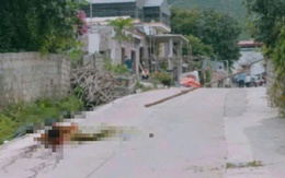 Nguyên nhân ban đầu vụ chồng giết vợ mới cưới rồi dùng súng tự sát ở Hạ Long