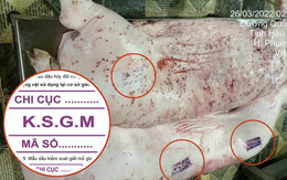 Vụ C.P. Việt Nam bị tố bán heo bệnh: Các mẫu dấu đóng trên thịt gia súc nói lên điều gì?