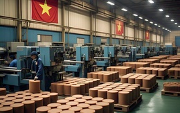 Trung Quốc nhập khẩu 99,8% một mặt hàng của Việt Nam: Là gì mà hấp dẫn đến vậy?