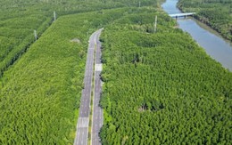 Tuyến Metro 4 tỷ USD nối Cần Giờ với trung tâm TP.HCM có thể khởi công đầu 2026