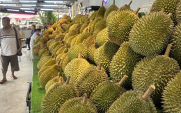 Một làn sóng sầu riêng cao cấp đang hình thành tại quốc gia Đông Nam Á: Trung Quốc không tiếc tiền mua hàng, sản lượng nửa triệu tấn năm 2025