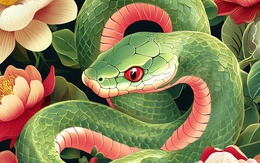 Tử vi ngày 6/6: 3 con giáp mở mắt thấy tiền, mỉm cười có tình yêu