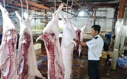 Lộ sai phạm kiểm soát tại lò mổ heo cho Công ty C.P Việt Nam
