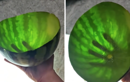 Quả dưa hấu "khổ nhất thế giới": Dân mạng dụi mắt thật kỹ mới hiểu lý do, xem xong ai cũng phải bật cười