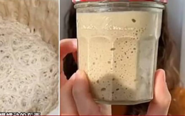 Lười nhưng thích 'chữa lành', giới trẻ Trung Quốc nuôi nấm men làm thú cưng