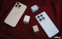 Thật không thể tin nổi: Người Việt chi hơn 2.000 tỷ đồng mua gần 26 triệu sản phẩm này trong năm qua