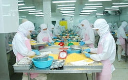 Món ngon Việt đang làm thị trường toàn cầu "mê mẩn", 4 tháng thu hơn 2.800 tỷ