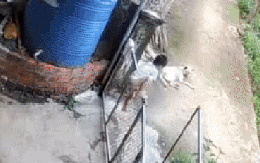 Búp măng non vượt ngàn chông gai để trốn nhà đi chơi, xem lại camera, mẹ bé muốn cạn lời khi thấy con ôm "bạn tri kỷ" ngủ giữa đường!