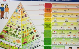 Việt Nam lần đầu có 6 tháp dinh dưỡng theo tuổi