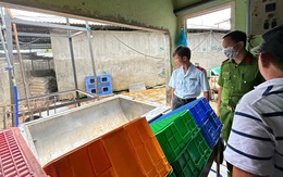 Bộ Công an vào cuộc vụ C.P. Việt Nam bị tố bán thịt heo bệnh