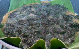 2 loại rau ít "ngậm" thuốc trừ sâu nhất chợ, nhất là cái số 1 ở quê rất nhiều