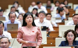 Trình đề án sáp nhập đơn vị hành chính cấp tỉnh