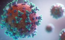 Hà Nội ghi nhận 150 ca COVID-19 mới trong 1 tuần