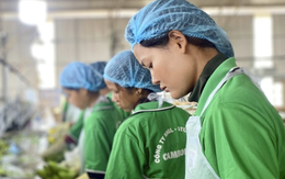 Lời than của bầu Đức "Tìm sếp nông trường còn khó hơn sếp ngân hàng" hé lộ "cơn khát" nhân tài nông nghiệp