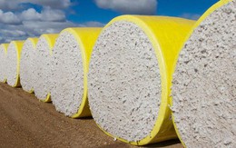 Hàng trăm nghìn tấn 'vàng trắng' từ Mỹ ồ ạt tràn về Việt Nam với giá siêu rẻ: Thuế nhập khẩu 5%, nước ta nhập khẩu top 3 thế giới